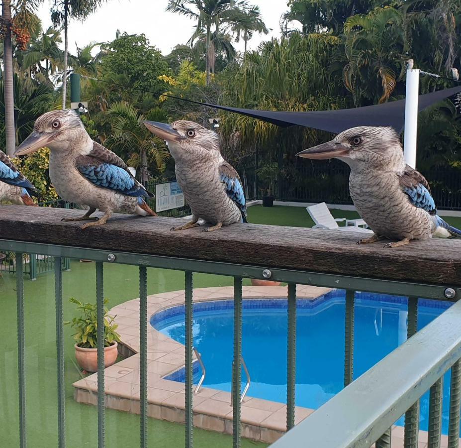 Magnetic Island Resort, Sleeps 3, Free Wifi Nelly Bay Екстер'єр фото